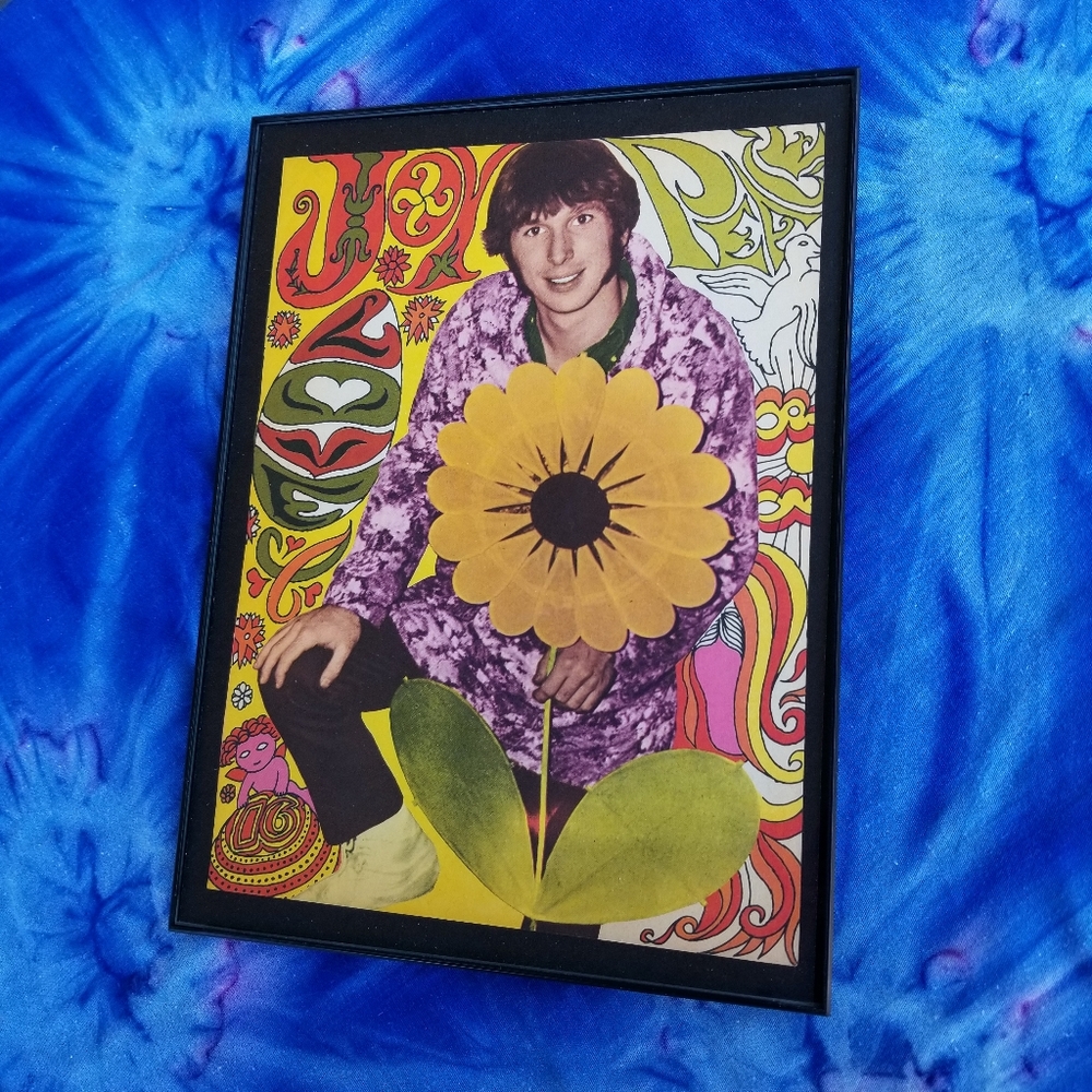 1960s Paul Revere and The Raiders Band Vintage Guitarist Jim Valley Daisy